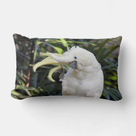 Almofada Lombar Alô - Ondas de Cockatoo Detidas Amigáveis Com Enxo