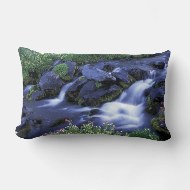 Almofada Lombar América do Norte, EUA, Washington, Mt. Rainier 3 (Frente)