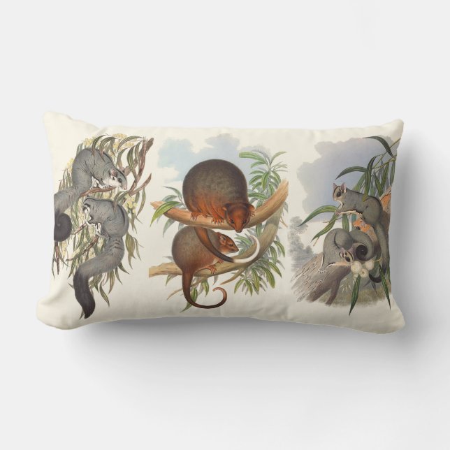 Almofada Lombar Animais Da Austrália Os Três Cushions Possíveis (Frente)