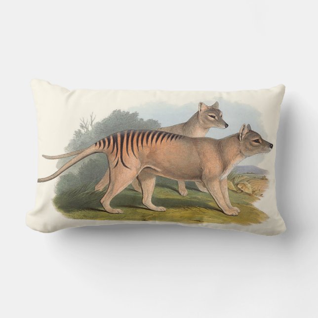 Almofada Lombar Animais De Cushiões Da Austrália (Frente)