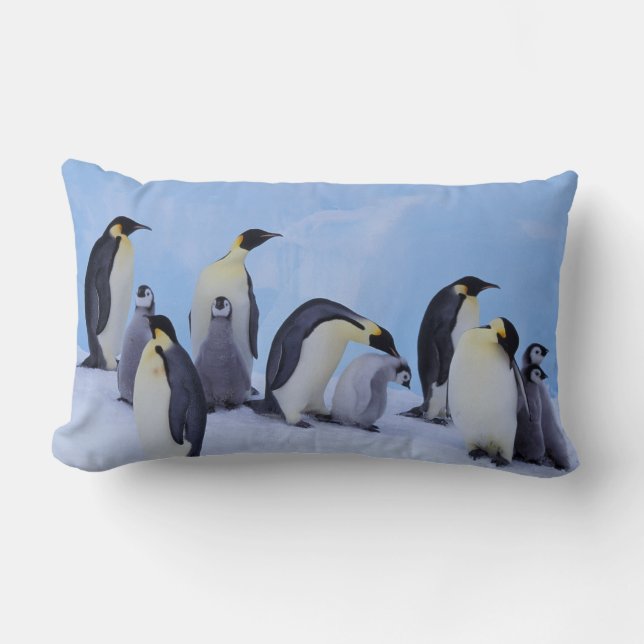 Almofada Lombar Antártida, Pinguins Imperadores (Frente)