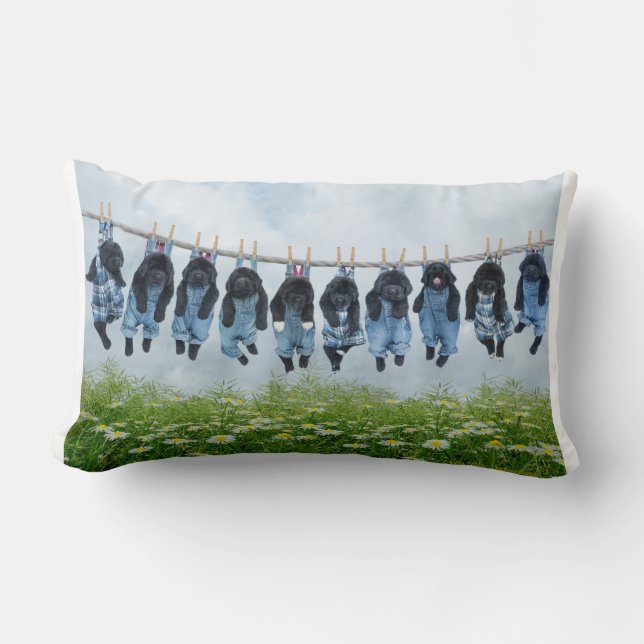 Almofada Lombar Apenas pendurando em torno do travesseiro (Frente)