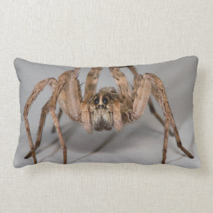 Almofada Lombar Aranha de lobo