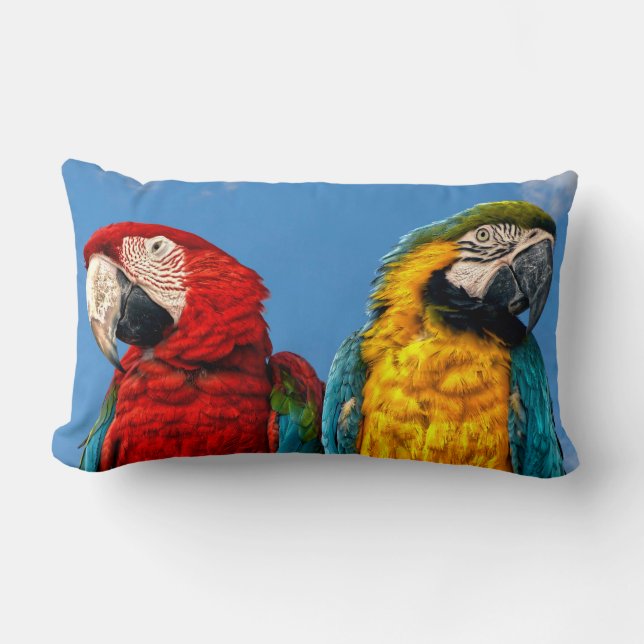Almofada Lombar Arara azul e amarela e arara-escarlate (Frente)