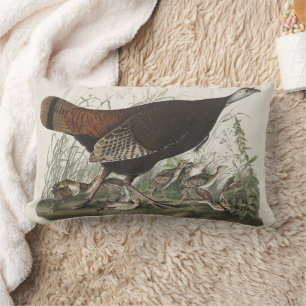Almofada Lombar Arte Audubon Peru Selvagem Galinha & Jovem
