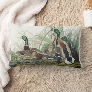 Almofada Lombar Arte de vida selvagem do pato-real de Audubon vint