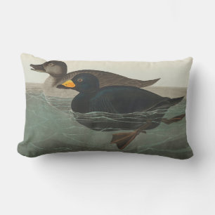 Almofada Lombar Audubon American Scoter Duck