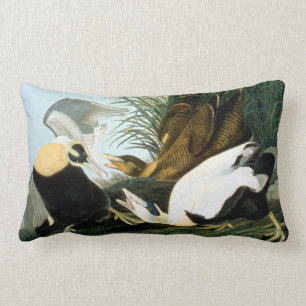 Almofada Lombar Audubon: Pato de êider