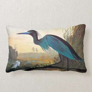 Almofada Lombar Audubon: Pequeno Herão Azul