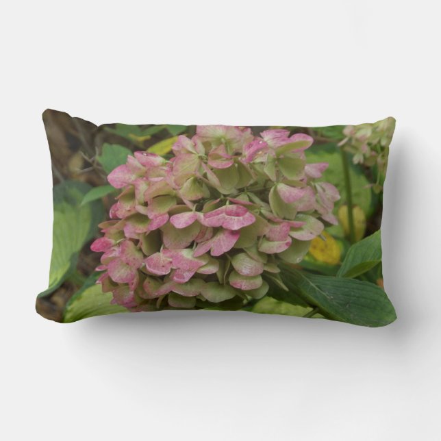 Almofada Lombar Autumn Hydrangea Bloom com Ouro Hosta Leaves (Frente)