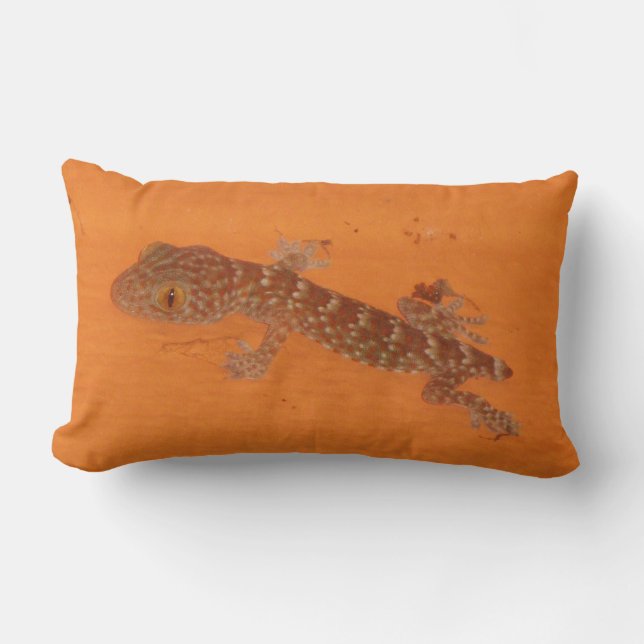Almofada Lombar Baby Tokay Gecko (Frente)