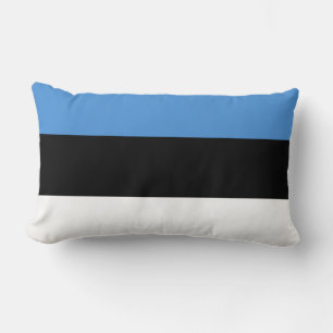 Almofada Lombar Bandeira da Estônia