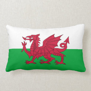 Almofada Lombar Bandeira do dragão de Galês