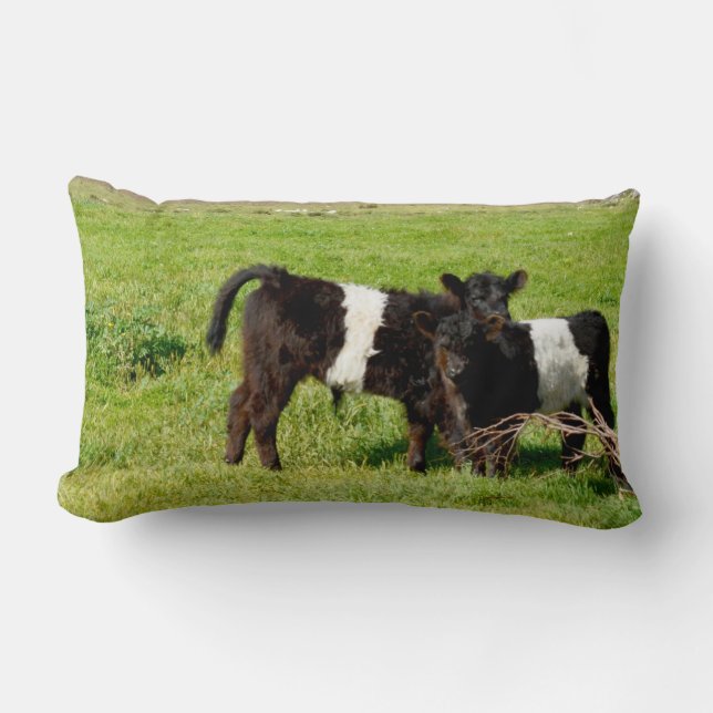 Almofada Lombar Bebês Galloway Vitelos, Cushion Lombar (Frente)