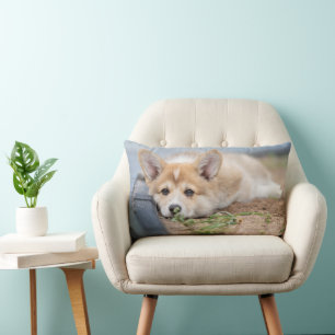 Almofada Lombar Bebês Mais Pobres Corgi Lay in the Yard