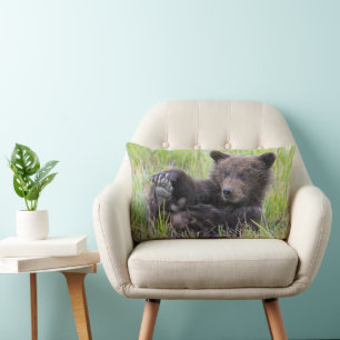 Almofada Lombar Bebês Mais Pobres   Jogo De Urso Castanho