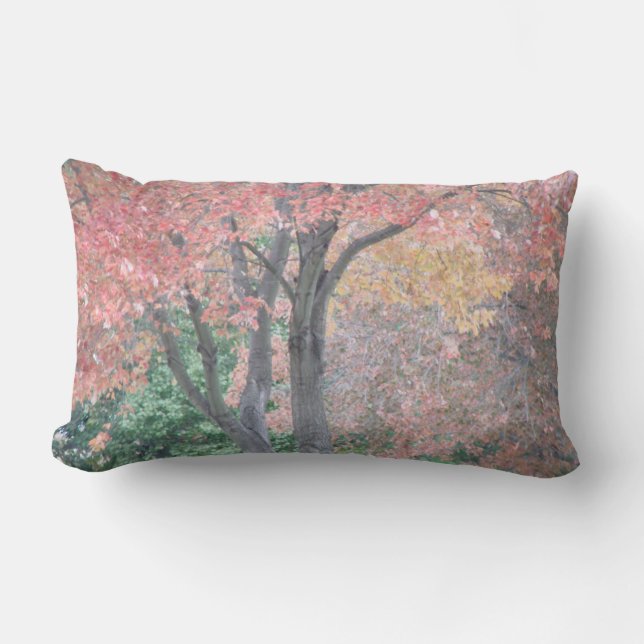 Almofada Lombar Beleza da queda (Frente)