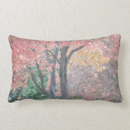 Almofada Lombar Beleza da queda