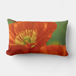 Almofada Lombar Belo papa vermelho