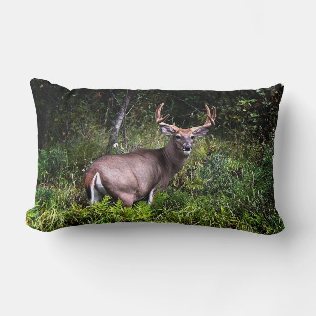Almofada Lombar Belo Travesseiro Whitetail Buck Lumbar (Frente)