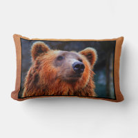 Belo Urso Marrom Retrato Wildlife Foto