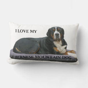 Almofada Lombar bernese mountain dog ferrugem total deitado amor w