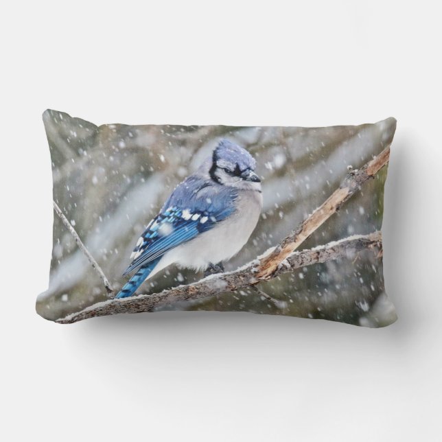 Almofada Lombar Blue Jay na nevasca (Frente)