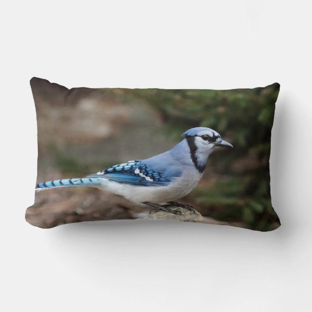 Almofada Lombar Blue Jay no inverno (Frente)