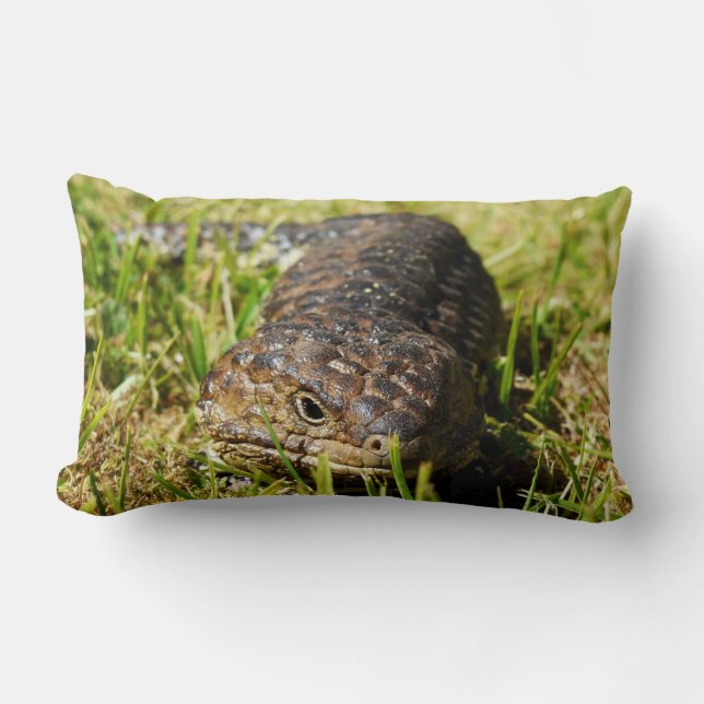 Almofada Lombar Blue Tongue Lizard, The Grass Whisperer, (Frente)