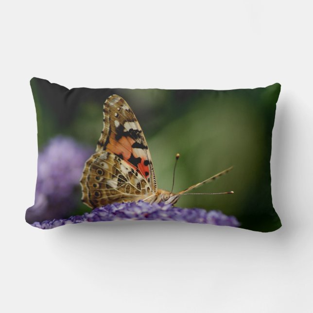 Almofada Lombar Borboleta de observação e de espera (Frente)