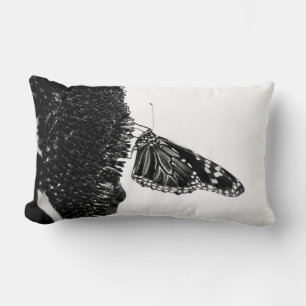 Almofada Lombar borboleta tímida blacq