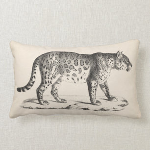 Almofada Lombar Brodtmann Leopard Sketch