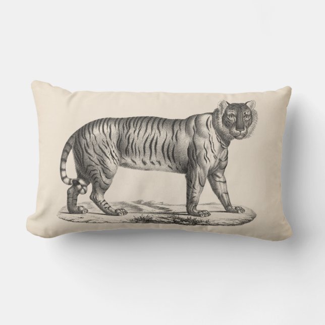 Almofada Lombar Brodtmann Tiger Sketch (Frente)