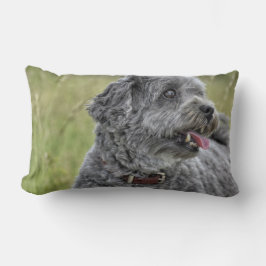 Almofada Lombar Cachorro Cortado Terrier