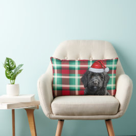 Almofada Lombar Cachorro no Natal Labradoodle e Xadrez de Férias
