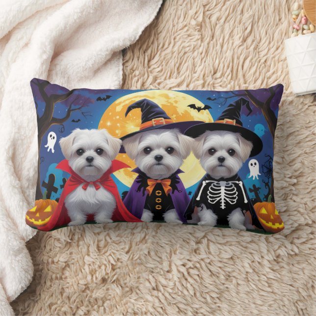 Almofada Lombar Cachorros Malteses Pumpkin Halloween Engraçado (Cobertor)