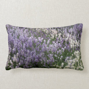 Almofada Lombar Campo do coxim da lavanda