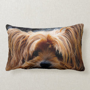 Almofada Lombar Cão bonito do yorkshire terrier