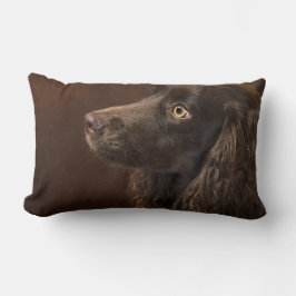 Almofada Lombar Cão De Cabelo Castanho