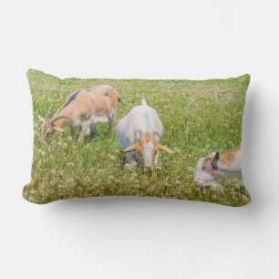 Almofada Lombar Caprinos Cachorros Verdes