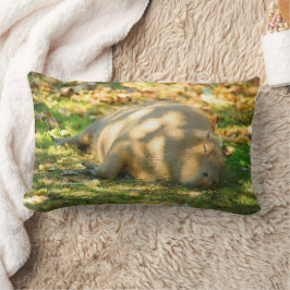 Almofada Lombar Capybara Fofa Sonha no Sol de Verão