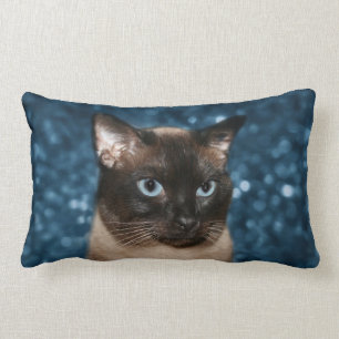 Almofada Lombar Cara do gato Siamese