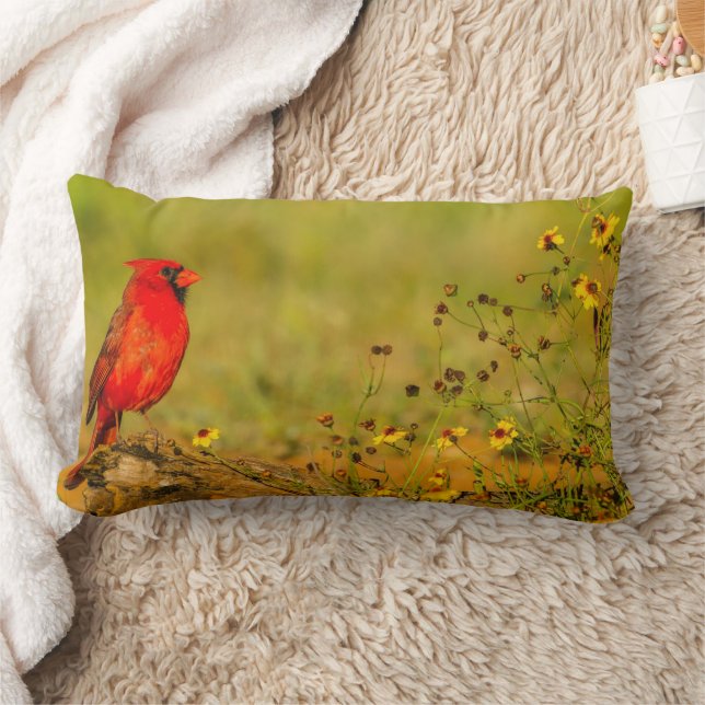 Almofada Lombar Cardinal macho em tronco (Cobertor)