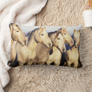 Almofada Lombar Cavalos Camargue (Eguus caballus)