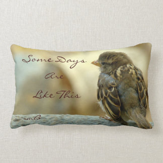 Almofada Lombar Certos dias são como este, travesseiro do