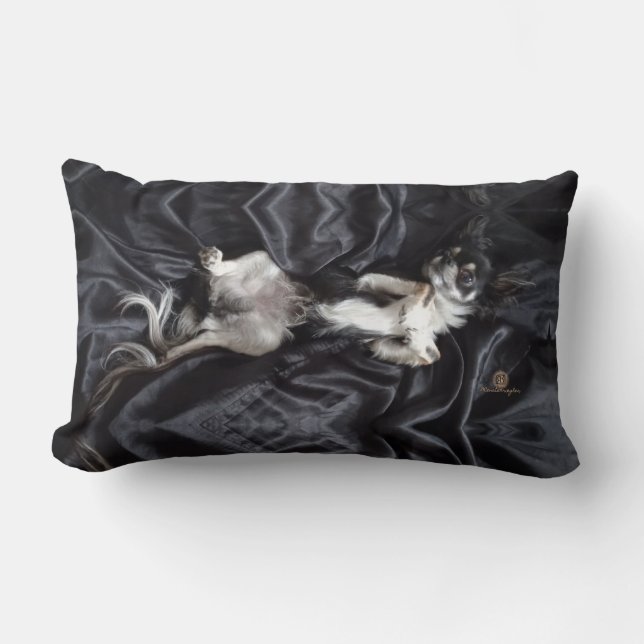 Almofada Lombar Chihuahua sobre Seda Negra (Frente)