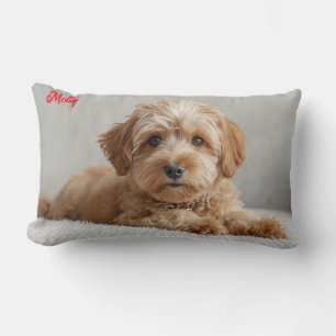 Almofada Lombar Classy Doodle Personalizado