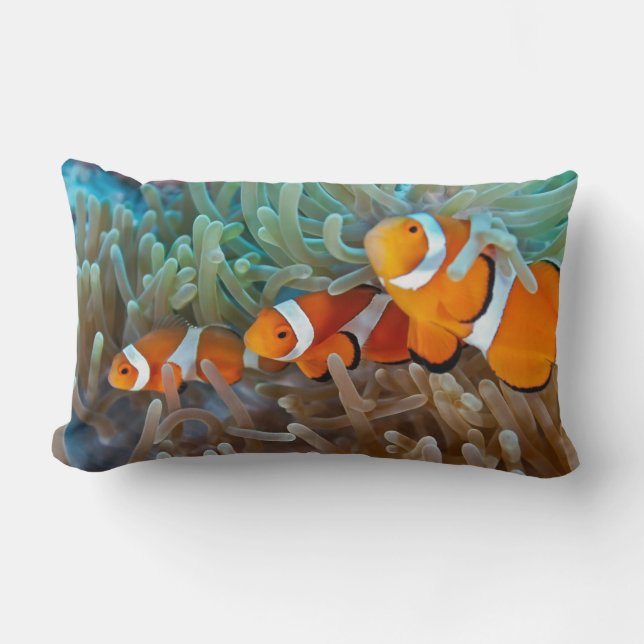 Almofada Lombar Clownfish (Frente)