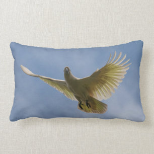 Almofada Lombar Cockatoon Bird Parrot Animal Fly Sky Austrália