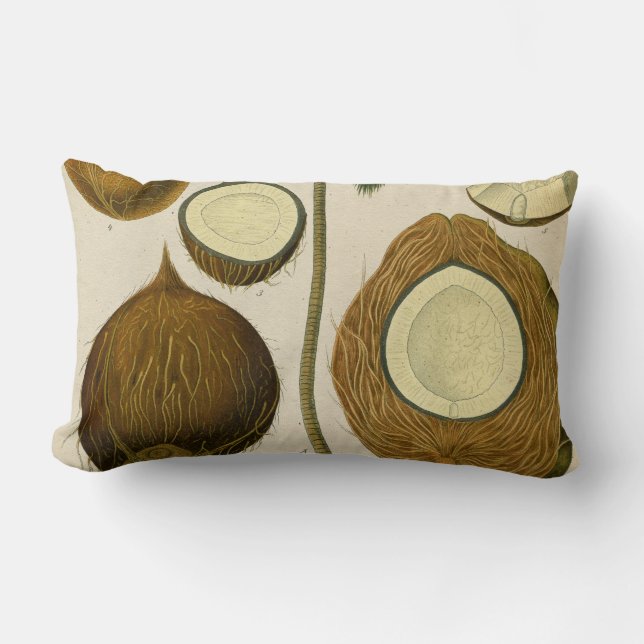 Almofada Lombar Coco tropical com enxerto (Frente)